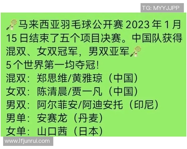 羽毛球赛事裁判判罚的公平性探讨与典型争议案例分析研究